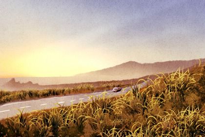 2024年10月13日提车日子如何 今日买新车好吗 2024年10月13日提车日子如何 今日买新车好吗