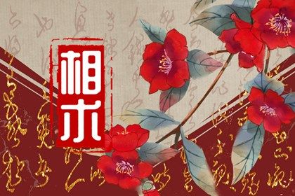 周一至周日右眼皮跳代表 看看眼跳星期情况 周一至周日右眼皮跳代表 看看眼跳星期情况