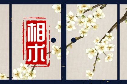 上庭偏短额头窄面相 什么样的上庭面相好 上庭偏短额头窄面相 什么样的上庭面相好