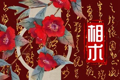 额头窄脸颊宽下巴尖面相 什么下巴是好面相 额头窄脸颊宽下巴尖面相 什么下巴是好面相