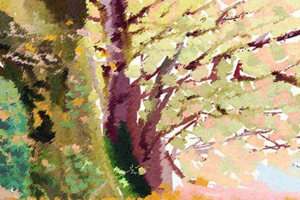 2023癸卯预言 什么是黑兔入青龙 2023癸卯预言 什么是黑兔入青龙