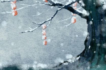 2023癸卯年大利哪个方向 2023年的风水财位解析 2023癸卯年大利哪个方向 2023年的风水财位解析