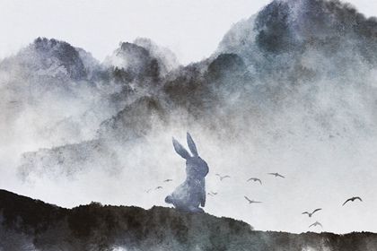 兔子为什么不生兔宝宝 不生兔宝宝的原因分析 兔子为什么不生兔宝宝 不生兔宝宝的原因分析