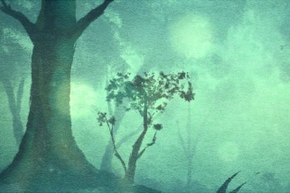 我的前世是什么人免费测试 前世是何种身份 我的前世是什么人免费测试 前世是何种身份