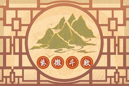 命带巨财的紫微命盘 分析紫微斗数是什么 命带巨财的紫微命盘 分析紫微斗数是什么