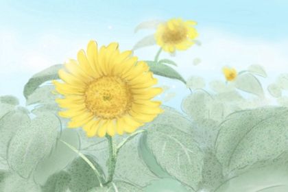 八字配对 八月哪些人会得到美好的爱情 八字配对 八月哪些人会得到美好的爱情