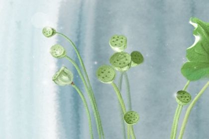 如何看八字命盘 方法有哪些 如何看八字命盘 方法有哪些