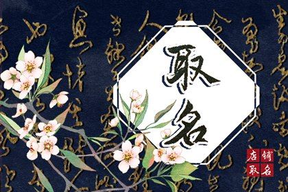 女服装店名大全洋气 流行时尚女装店铺名字 女服装店名大全洋气 流行时尚女装店铺名字