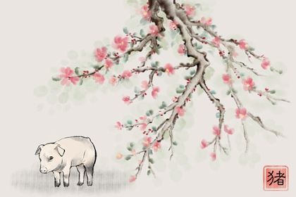 猪的最佳配偶属相 生肖猪的婚姻运势 猪的最佳配偶属相 生肖猪的婚姻运势