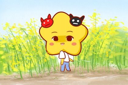 双子座2024年有三喜 双子座2024年贵人是谁 双子座2024年有三喜 双子座2024年贵人是谁